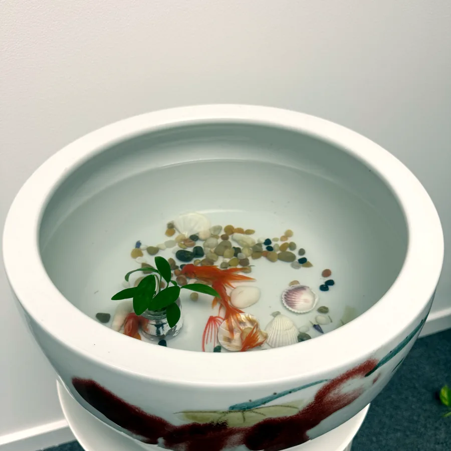 Goldfish swimming in a hand-painted ceramic bowl on the reception counter at the McLean clinic