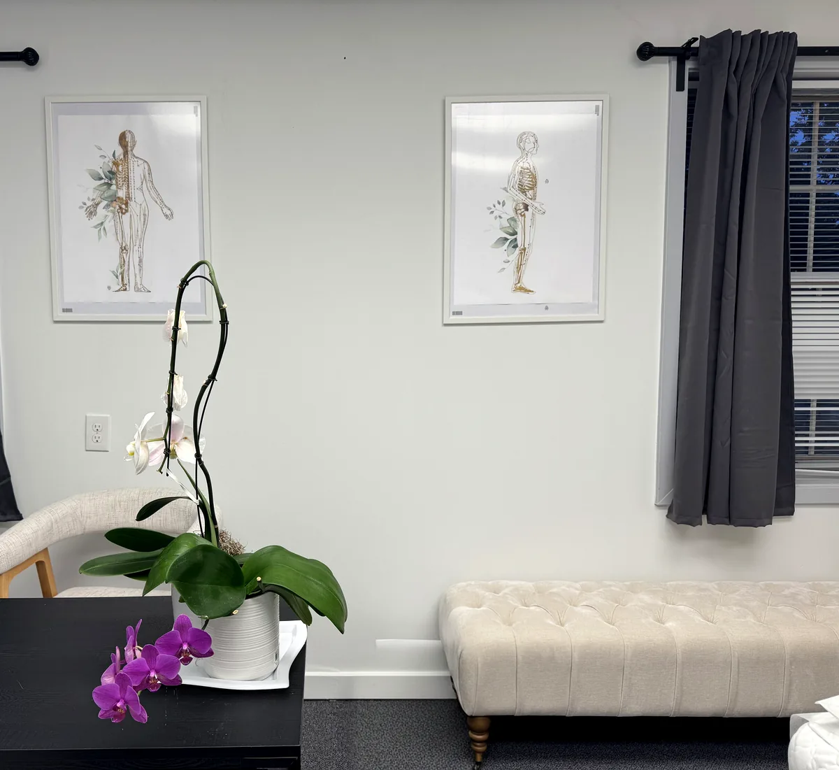Two framed gold meridian anatomy prints beside an orchid at Harmony Acupuncture & Wellness Spa
